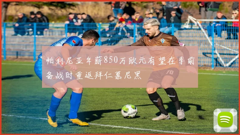 帕利尼亚年薪850万欧元有望在季前备战时重返拜仁慕尼黑