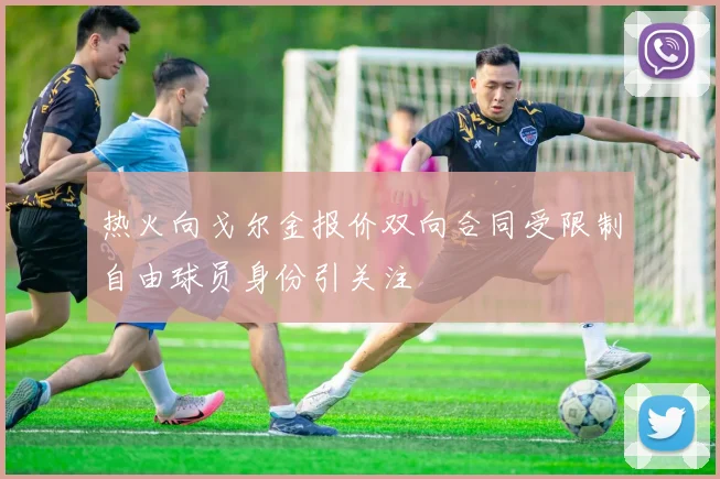 热火向戈尔金报价双向合同受限制自由球员身份引关注