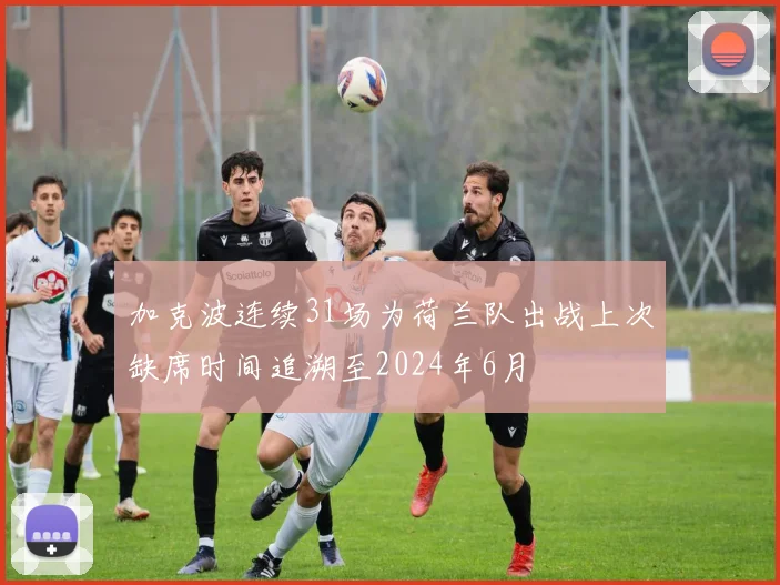 加克波连续31场为荷兰队出战上次缺席时间追溯至2024年6月