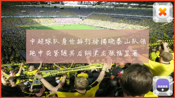 中超球队身价排行榜揭晓泰山队领跑申花紧随其后铜梁龙涨幅显著